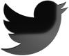 Twitter Festival