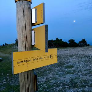 Mont Aigoual Summit
